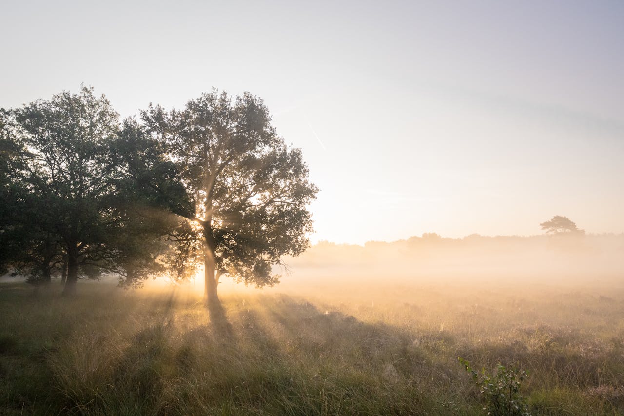 Genieten van natuur en rust op een vakantiepark in Drenthe