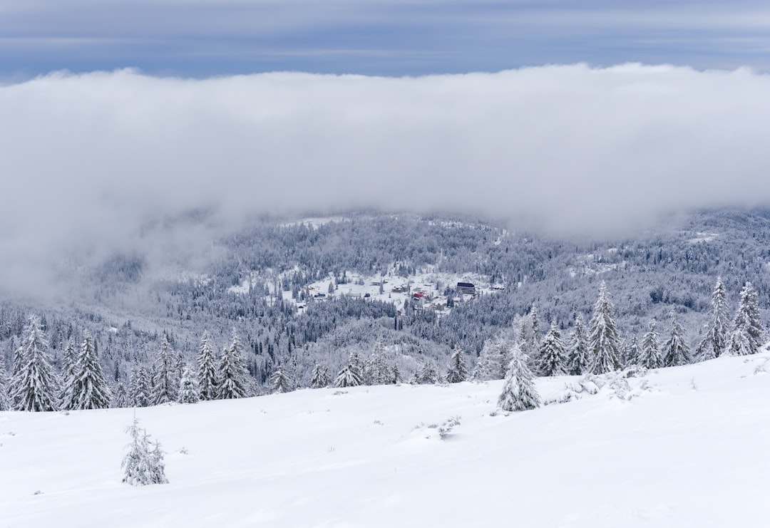 Luxe vakantiepark Frankrijk: ontdek comfort tussen de Franse heuvels