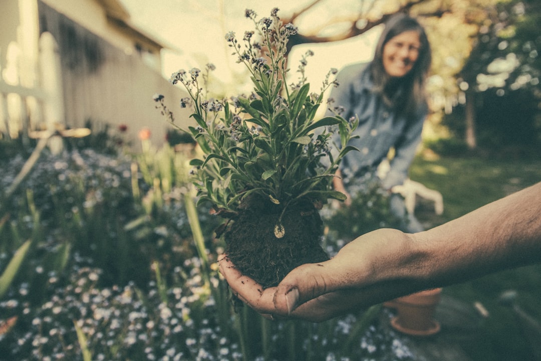 Olifantengras nadelen: dit moet je weten voor je het plant
